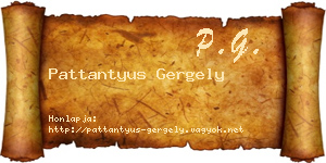 Pattantyus Gergely névjegykártya
